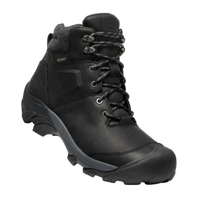 Bottes d'hiver imperméables Keen Targhee II (hommes)