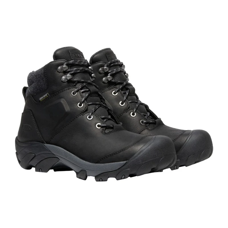 Bottes d'hiver imperméables Keen Targhee II (hommes)