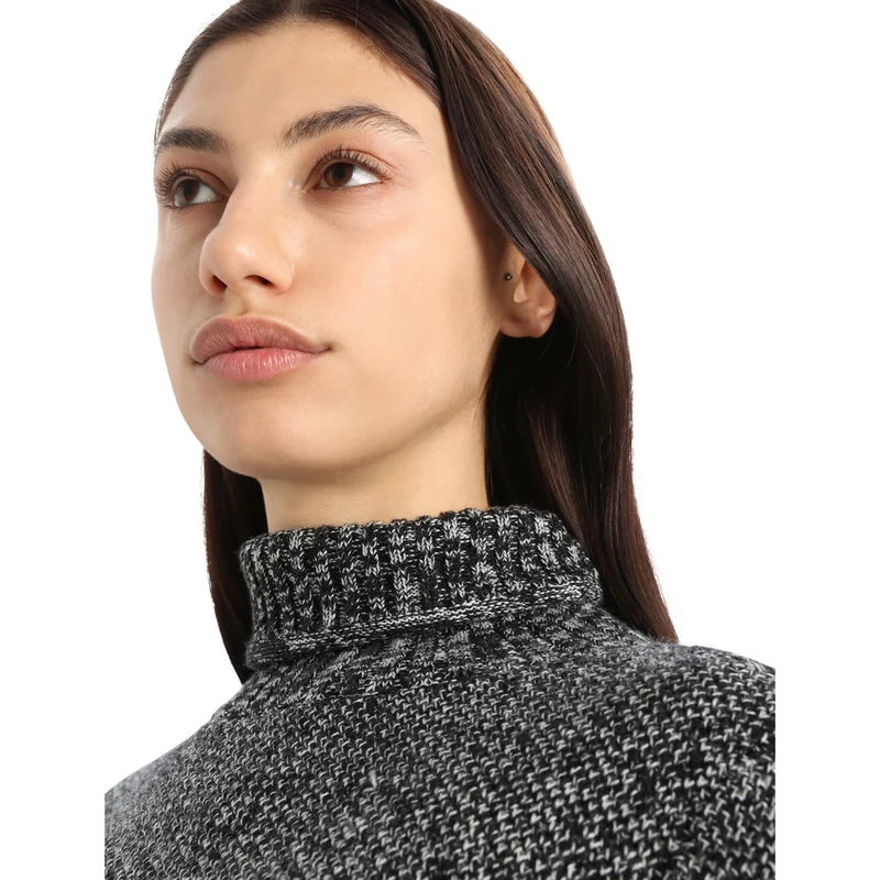 Chandail Icebreaker Seevista (femmes)