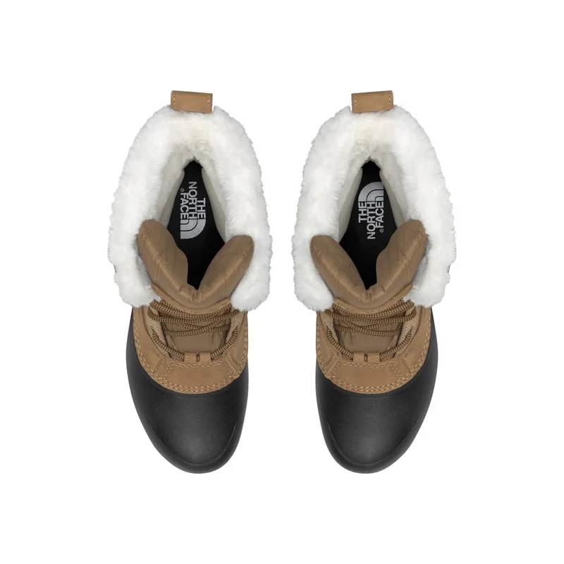Bottes d'hiver The North Face Shellista IV Mid WP (femmes)