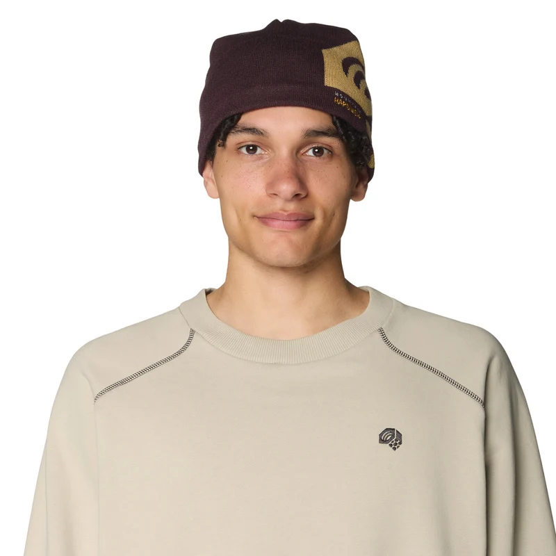Tuque Mountain Hardwear Caelum Dome