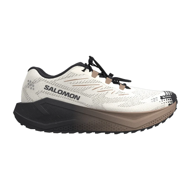 Souliers de course Salomon Aero Blaze 4 GRVL GTX (femmes)