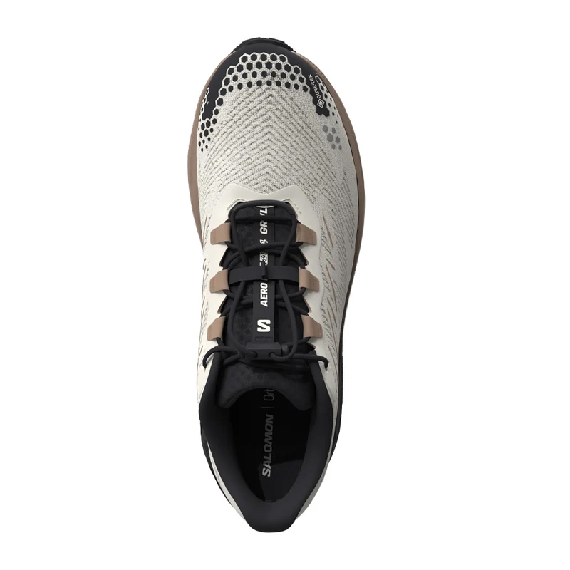 Souliers de course Salomon Aero Blaze 4 GRVL GTX (femmes)