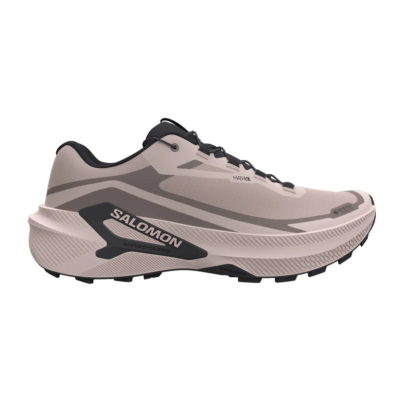 Souliers de course en sentier Salomon Genesis 2 GTX (femmes)