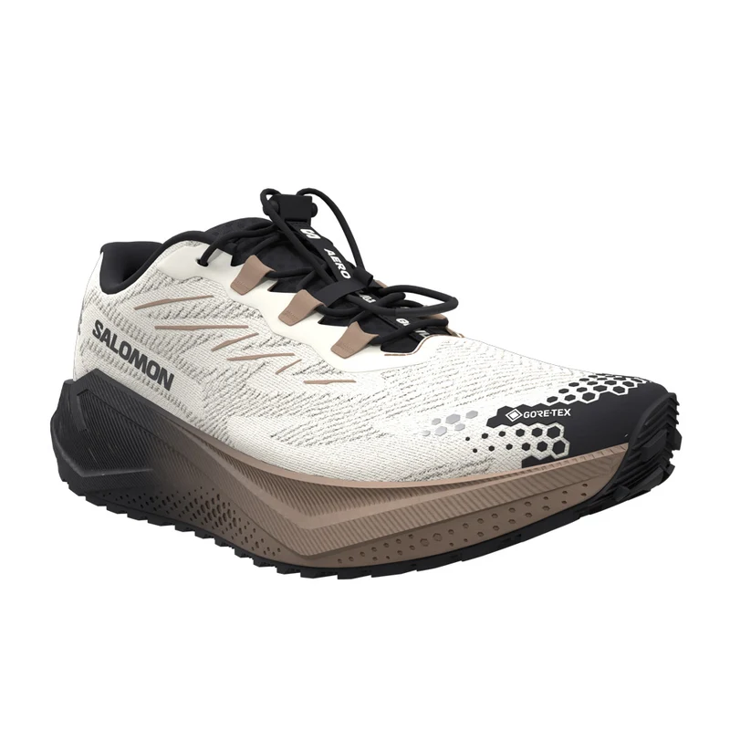 Souliers de course Salomon Aero Blaze 4 GRVL GTX (hommes)