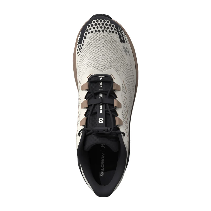 Souliers de course Salomon Aero Blaze 4 GRVL GTX (hommes)