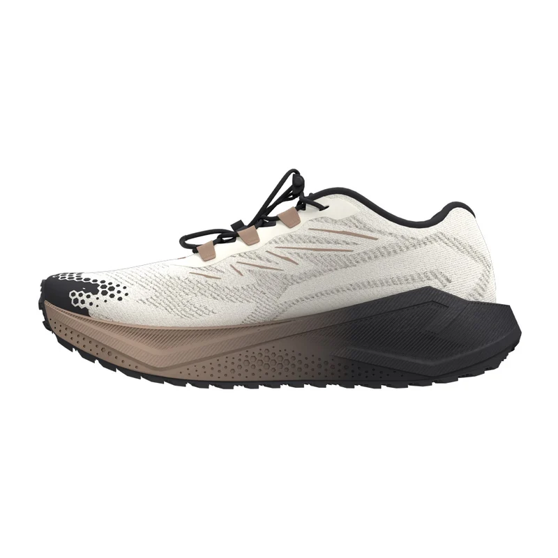 Souliers de course Salomon Aero Blaze 4 GRVL GTX (hommes)