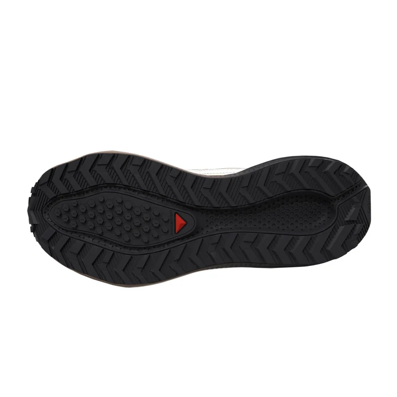 Souliers de course Salomon Aero Blaze 4 GRVL GTX (hommes)