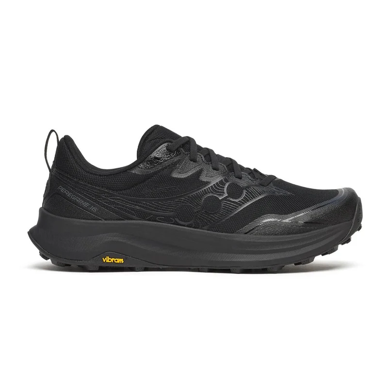 Souliers de course en sentier Saucony Peregrine 16 GTX (hommes)