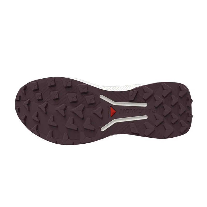 Souliers de course en sentier Salomon Genesis 2 (femmes)